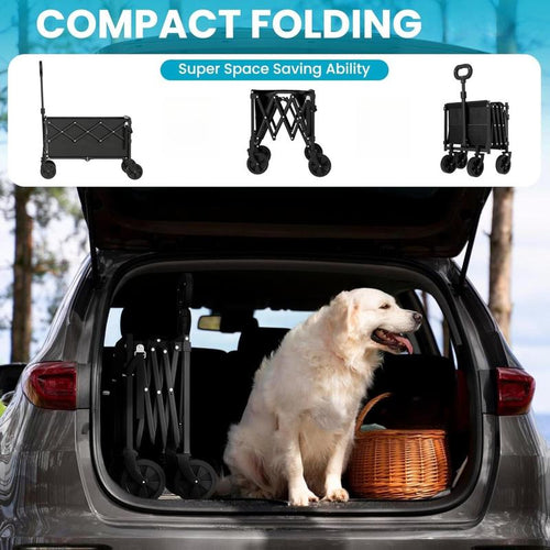 Compact Folding Utility Wagon